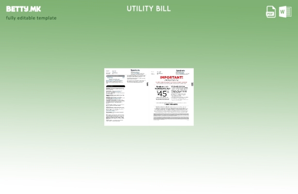 Модерен стил шаблон за комунални сметки (страници) USA Spectrum 1